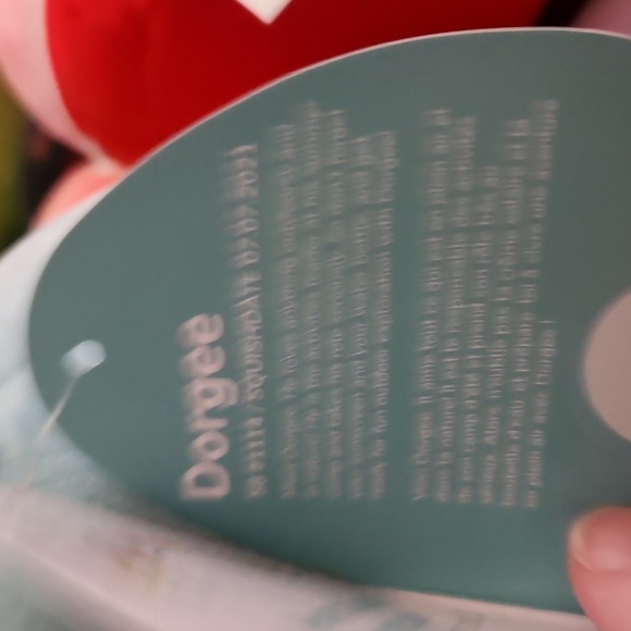 Dorgee squishmallows box lunch Exclusive 8 inch new Seal - Picture 4 of 7